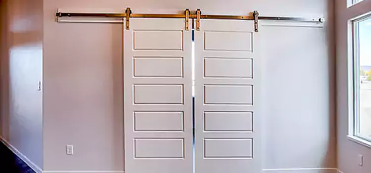 Glass Barn Door with Installation Hardware Kit Tulare
